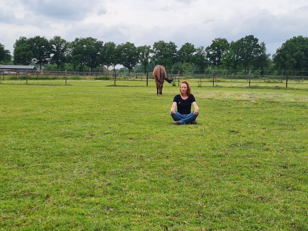 zittend in gras met grumpy